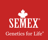 Semex Genetics for Life Bull Semen